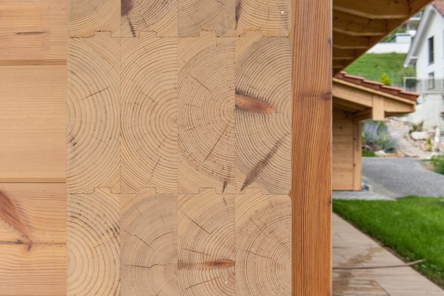 Querschnitt einer Kiefernblockwand aus 4 miteinander laminierten Lamellen